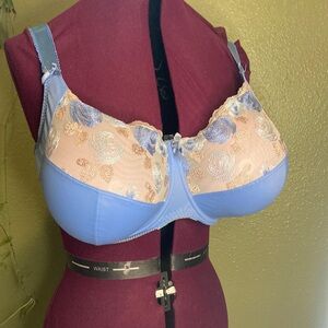 Elegant Lace Embroidered Bra - Blue and Cream